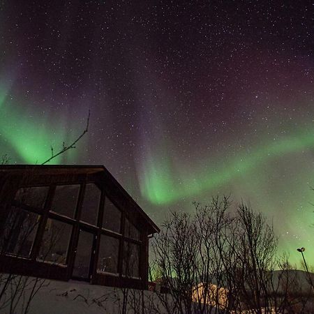 Aurora View Cabin Lyngseidet Exterior foto