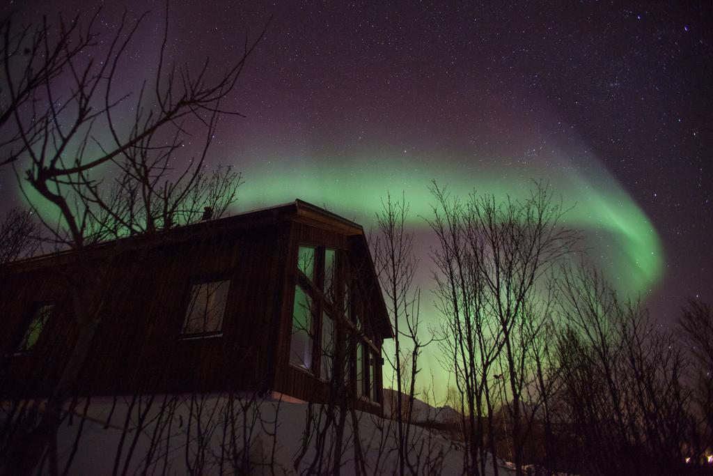 Aurora View Cabin Lyngseidet Exterior foto